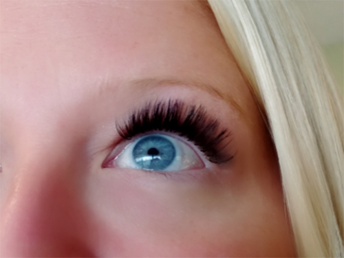 Volume Eyelashes